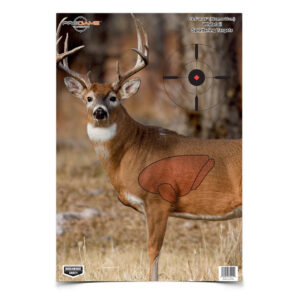 Image of a paper target displaying a mature Whitetail deer.